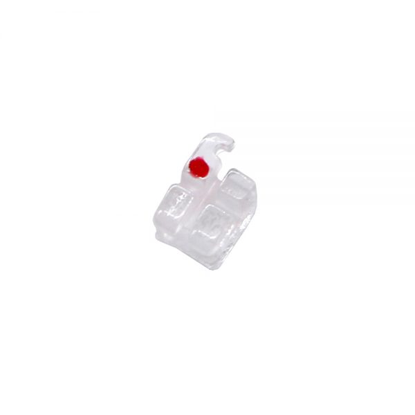 Attacchi In Ceramica Con Slot In Metallo Roth .022" Kit Completo Ga Su Canini Slot 022 - Foto 7